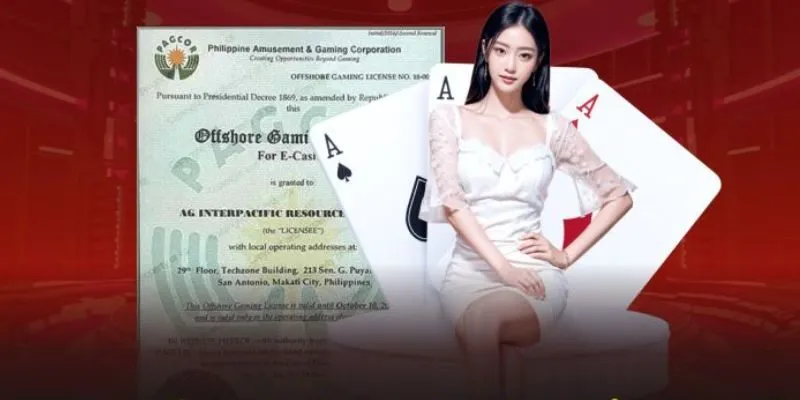 Giấy phép W88 có những lợi ích gì?